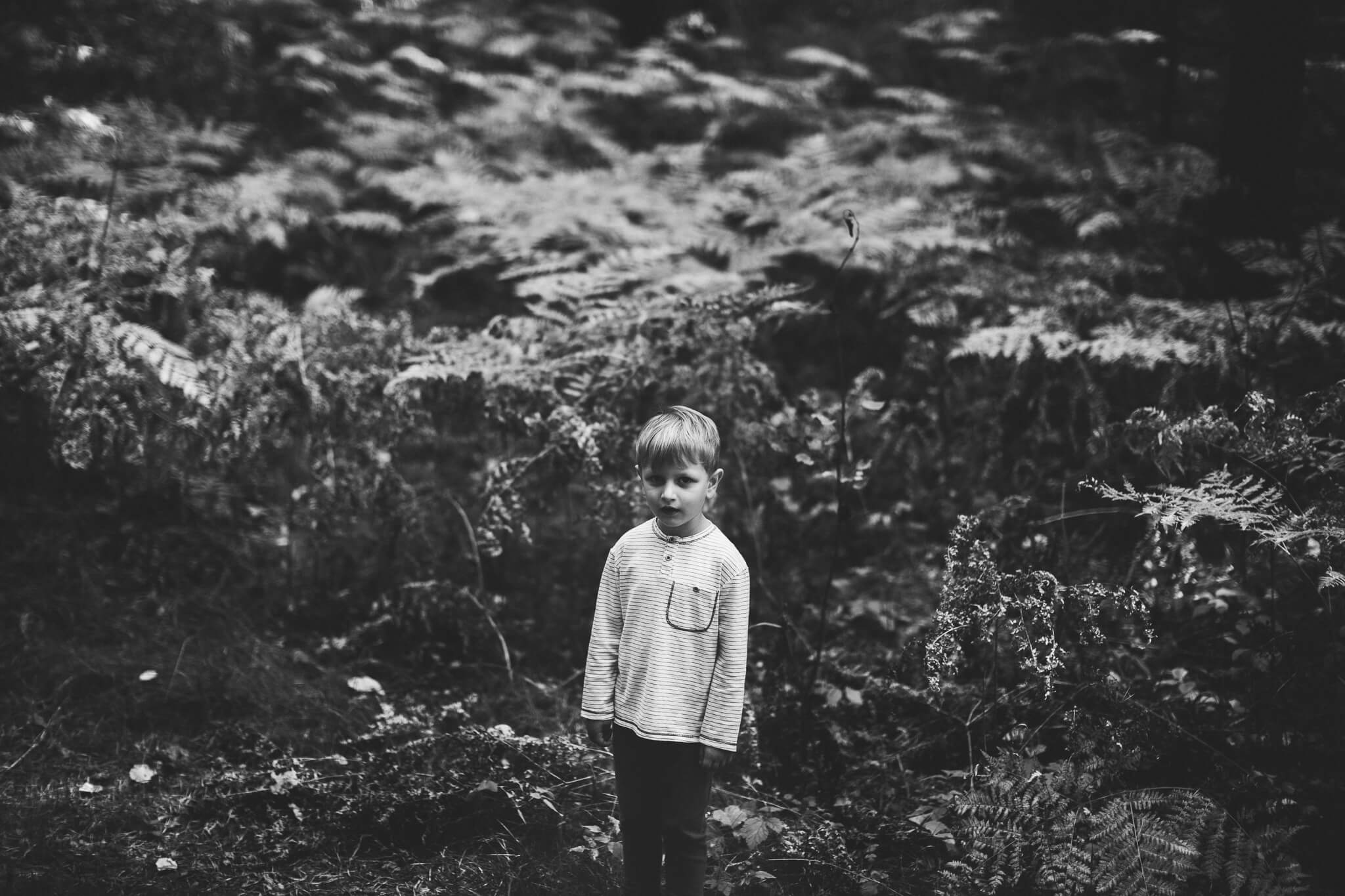Portree väikesest poisist metsas keset sõnajalgu
